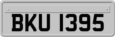BKU1395