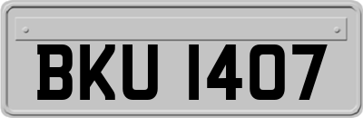 BKU1407