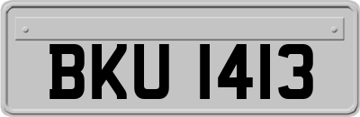 BKU1413