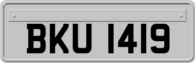 BKU1419