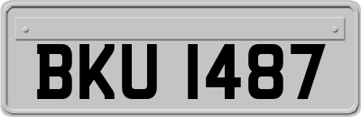 BKU1487