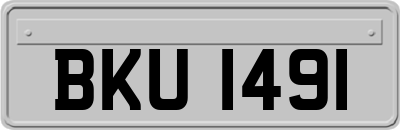 BKU1491