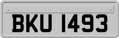 BKU1493