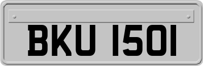BKU1501