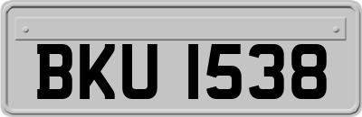 BKU1538