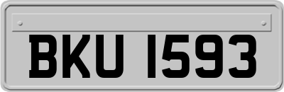 BKU1593