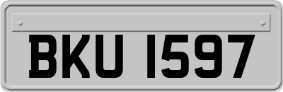 BKU1597