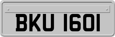 BKU1601