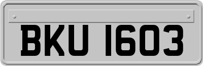 BKU1603