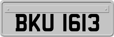 BKU1613