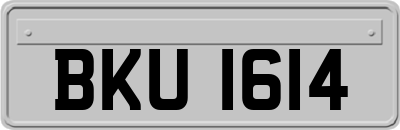 BKU1614