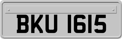 BKU1615