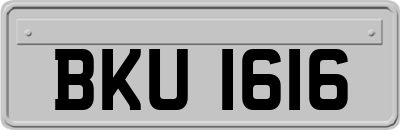 BKU1616