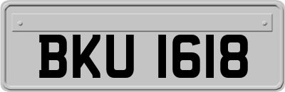 BKU1618