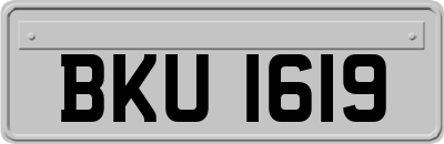 BKU1619