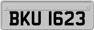 BKU1623