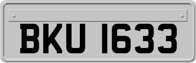 BKU1633