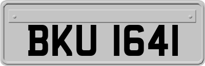 BKU1641