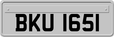 BKU1651