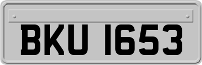 BKU1653