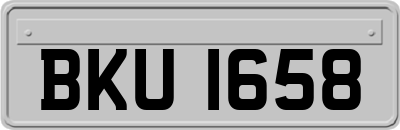 BKU1658