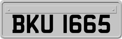 BKU1665