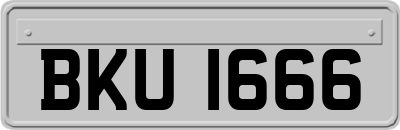 BKU1666