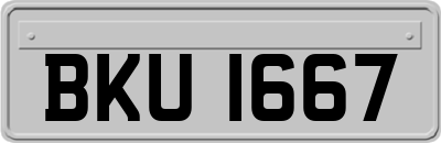 BKU1667