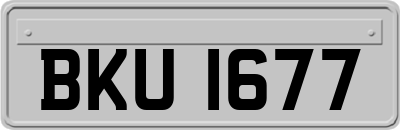 BKU1677