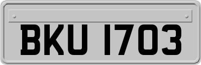 BKU1703
