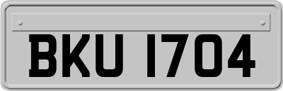 BKU1704