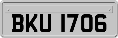 BKU1706
