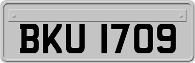 BKU1709