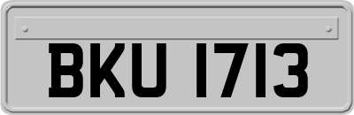 BKU1713