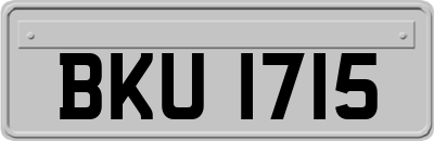 BKU1715