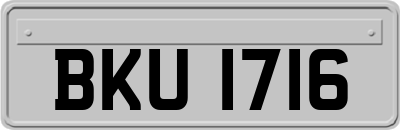 BKU1716