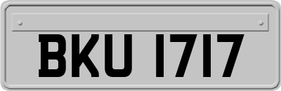 BKU1717