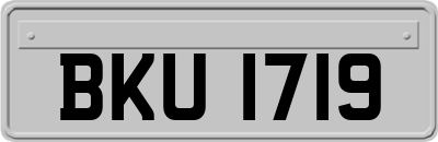 BKU1719