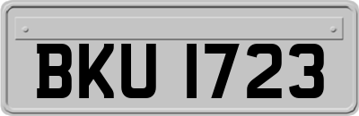 BKU1723