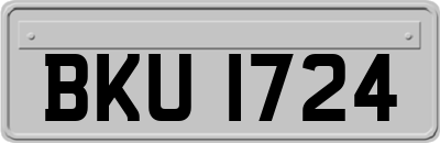 BKU1724