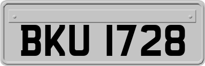 BKU1728