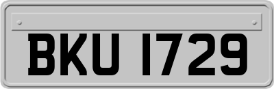 BKU1729