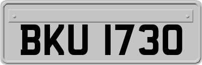 BKU1730