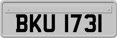 BKU1731