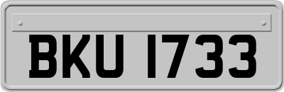 BKU1733