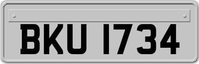 BKU1734