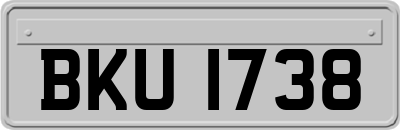 BKU1738