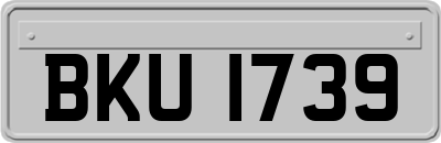 BKU1739