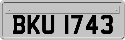 BKU1743