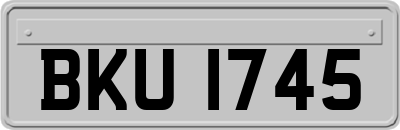 BKU1745